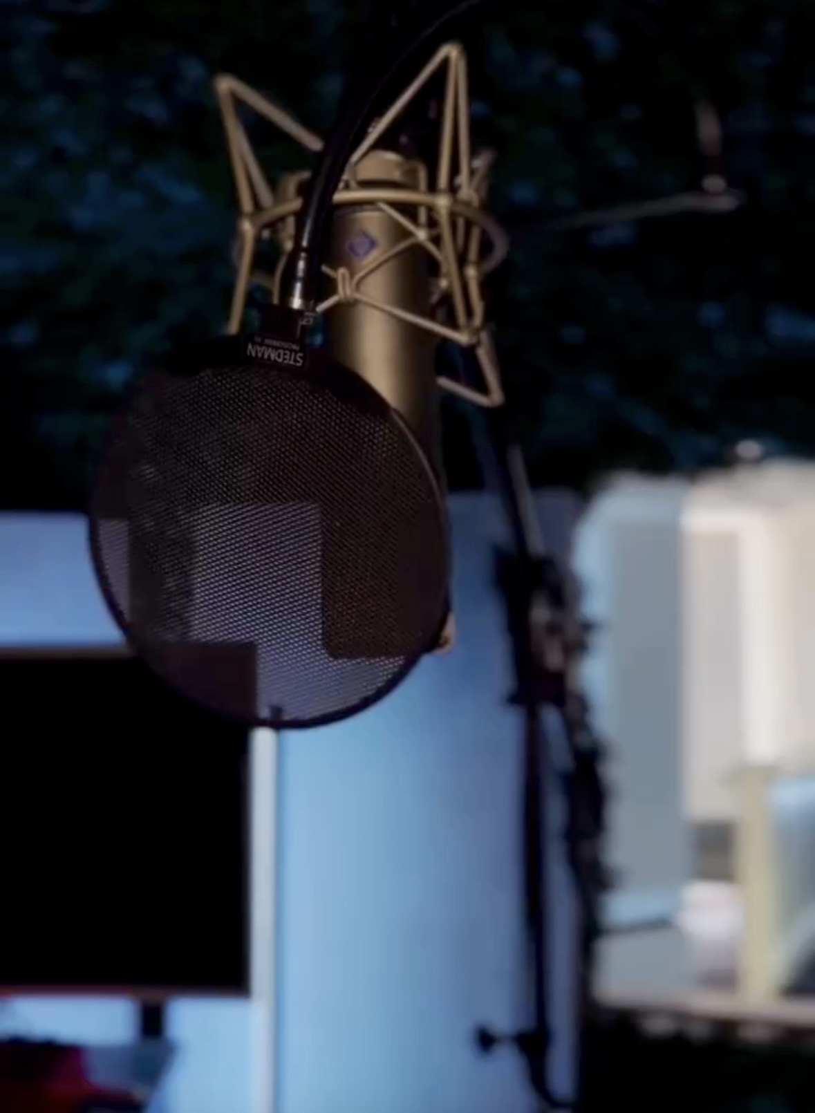 Studio microphone with a pop filter